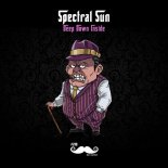 Spectral Sun - Can't Sleep Tonight