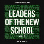 TDRV, Lewis John - Back To You (Extended Mix)