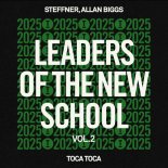 Steffner, Allan Biggs - Toca Toca (Extended Mix)