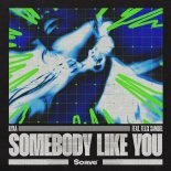 Ilyaa Feat. Felix Samuel - Somebody Like You (Extended Mix)
