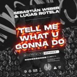 Lucas Rotela, Sebastian Weber - Tell Me What U Gonna Do (Original Mix)