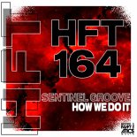 Sentinel Groove - How We Do It