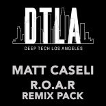Matt Caseli - R.O.A.R (Jerome Robins, Kide (IT) Remix)