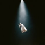 Ariana Grande - Dandelion