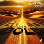 Rocco & Perfect Pitch & L'EXAIS - Streets Of Gold