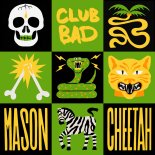 Mason, Teya Flow - Cheetah (Original Mix)