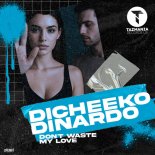 DICHEEKO & DINARDO - Don't Waste My Love (Extended)