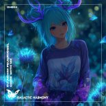 DJ Achim Feuervogel and Galactic Harmony - Come with Me