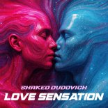 Shaked Dudovich - Love Sensation