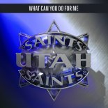 Utah Saints - What Can You Do For Me (Def Mix 7_)