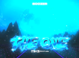 Boozer - The One (MIK3 Bootleg)