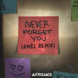Afrojack - Never Forget You (Amél Remix) (FLAC)