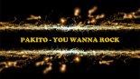 Pakito x PavlooSounds x P1NX - You Wanna Rock (DJHooKeR Mash-up)