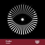 Aender - Codec (Rauschhaus Remix)