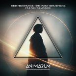 Neither Nor & The Post Brother - Pulse Pleasure (Original Mix)