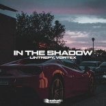 Lintrepy & VØRTEX - In The Shadow