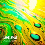 Camelphat - Sunshine (Moblack Remix Extended)