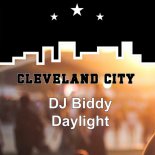 DJ Biddy - Daylight