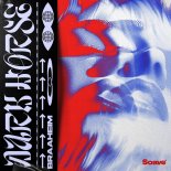 Braaheim - Dark Horse (Extended Mix)