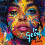 Sheeva and MD DJ and Ikarus - I'm Good (Blue)