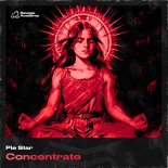 Pie Star - Concentrate (Original Mix)
