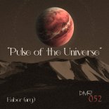 Haber - Cortex Pulse