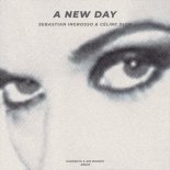 Sebastian Ingrosso & Céline Dion - A New Day (VARGENTA & Nik Brown Remix)