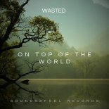 Wasted - On Top Of The World (Extended Mix)