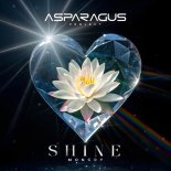ASPARAGUSproject & MONGRY - Shine