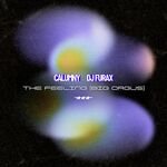 Calumny & DJ Furax - The Feeling (Big Orgus)