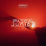 Animal X - Sa Pot Ierta (Pascal Junior Remix)