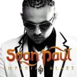 Sean Paul - She Doesnt Mind (Lesnichiy Radio Remix)