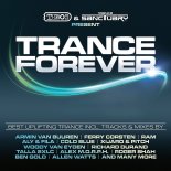 Richard Durand & Nicholas Gunn feat. Alina Renae  -  For You (Extended Mix)