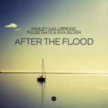 Ashley Wallbridge & Pulse Gate & Ava Silver - After The Flood (Extended Mix)