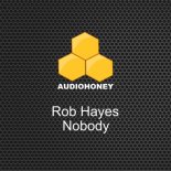 Rob Hayes - Nobody