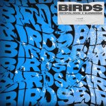Crystal Rock & Slenderino - Birds (Extended Mix)