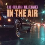 P.O.U x Melo.Kids x Carla Fernandes - In The Air (Extended Mix)