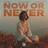 Lintrepy, Anton Lacosta & Pulso Claro - Now Or Never