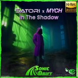Satori & MYCH - In The Shadow (DJ Version)