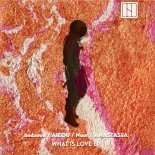 Aieou & bodmod - What Is Love (Radio Edit)