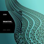 Reaktive - Rhythm of the House (Extended Mix)