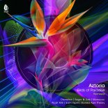Aztoria - Birds of Paradise (Discretion Remix)