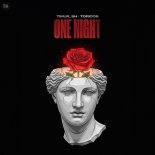 Timur_SH & Toricos - One Night