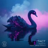 Fancy K Feat. Jaydi Zavala - Tact