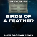 Billie Eilish - BIRDS OF A FEATHER (Alex Caspian Remix)