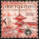 Dr. Peacock & Anamorphic - Trip to Kyoto (Original Mix)