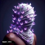 Hamidshax - Endless (Original Mix)