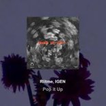 Riitme & IGEN - Pop It Up