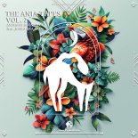 Anthony Bassoulou - The War of Destiny