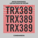Jesus Fernandez, Los Gaiteros de Ovejas - Cumbiambera (Extended Mix)